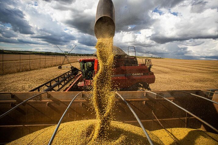 <strong>Produção de grãos deve crescer 36,8% nos próximos dez anos</strong>